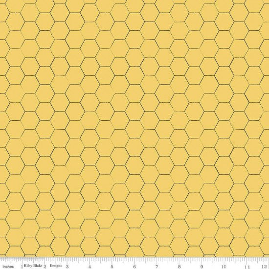 Honey Bee~Honeycomb