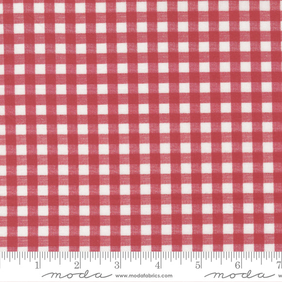 Leather & Lace and Amazing Grace~ Gingham~Red