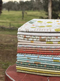 Hatched & Patched~Appleby Farm ~ Bundle of 20 Fat Quarters