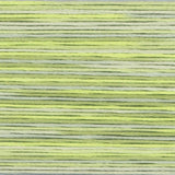 Cosmo Stranded Threads ~ Seasons Variegated ~size 25 floss