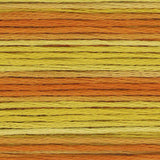 Cosmo Stranded Threads ~ Seasons Variegated ~size 25 floss