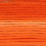 Cosmo Stranded Threads ~ Seasons Variegated ~size 25 floss
