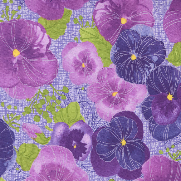 Pansy's Posies~ Main Pansy~ Lavender