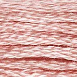 DMC Threads 117 ~stranded cotton embroidery floss 0105-0372