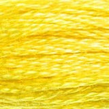 DMC Threads 117 ~stranded cotton embroidery floss 0105-0372