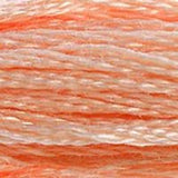 DMC Threads 117 ~stranded cotton embroidery floss 0105-0372