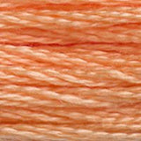 DMC Threads 117 ~stranded cotton embroidery floss 3801 - 3866